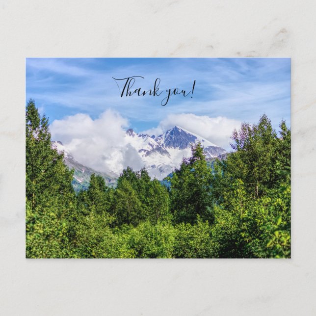 Kenai Fjords Snowy Mountains Vielen Dank Postkarte (Vorderseite)