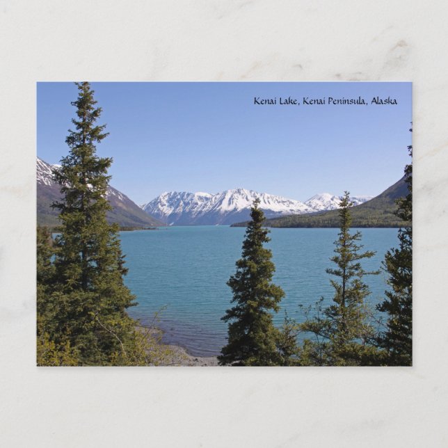 Kenai Lake, Kenai Halbinsel,... Postkarte (Vorderseite)