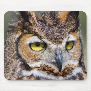 Kendall Landkreis, Texas. Große Hornschale Mousepad