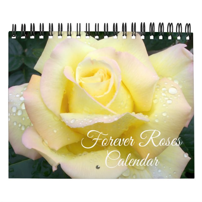 Kenderkalender mit Rosen in Kleinformat Kalender (Titelbild)