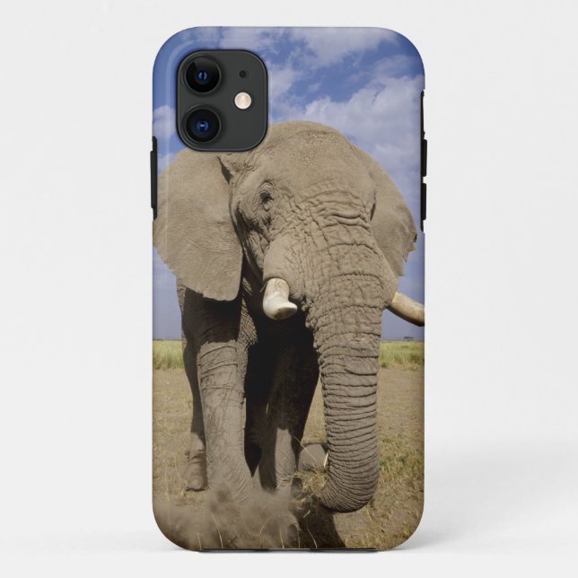 Kenia: Amboseli National Park, Elefantenmännchen Case-Mate iPhone Hülle (Rückseite)