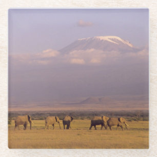 Kenia: Amboseli-Nationalpark, Elefanten Glasuntersetzer