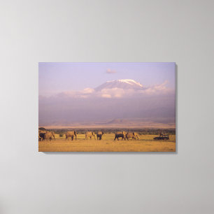 Kenia: Amboseli-Nationalpark, Elefanten Leinwanddruck