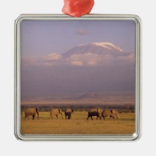 Kenia: Amboseli-Nationalpark, Elefanten Silbernes Ornament