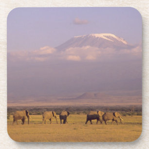 Kenia: Amboseli-Nationalpark, Elefanten Untersetzer
