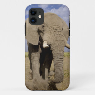 Kenia: Amboseli-Nationalpark, männlicher Elefant Case-Mate iPhone Hülle