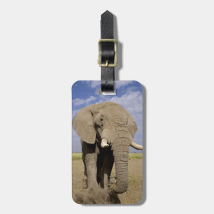 Kenia: Amboseli Nationalpark, männlicher Elefant Gepäckanhänger
