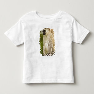 Kenia, Lake Nakuru Nationalpark. Vervet Kleinkind T-shirt