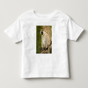 Kenia, Lake Nakuru Nationalpark. Vervet Kleinkind T-shirt