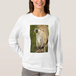 Kenia, Lake Nakuru Nationalpark. Vervet T-Shirt