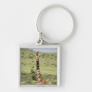 Kenia, Lewa Erhaltung, Masai-Giraffe stehend Schlüsselanhänger