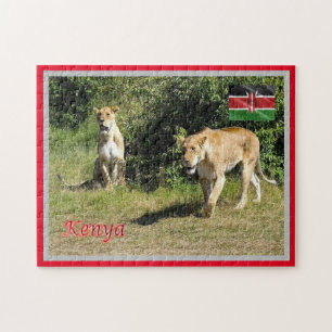 Kenia - Lionessen -