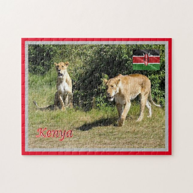 Kenia - Lionessen - (Horizontal)