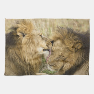 Kenia, Masai Mara Geschirrtuch