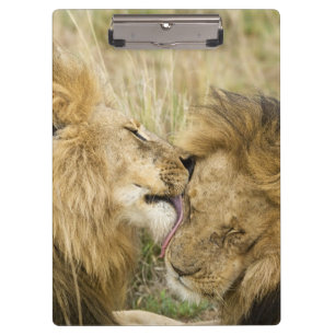 Kenia, Masai Mara Klemmbrett