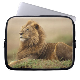 Kenia, Masai Mara   Male Lion Laptopschutzhülle