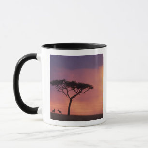 Kenia: Masai Mara Nationalpark, Sonnenuntergang. Tasse