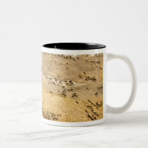 Kenia: Masai Mara Nationalreservat, Mara Zweifarbige Tasse