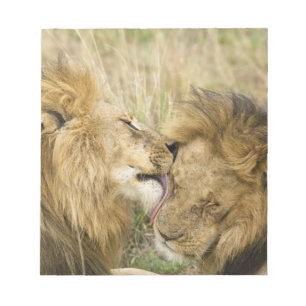 Kenia, Masai Mara Notizblock