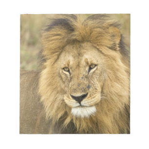 Kenia Masai Mara Notizblock
