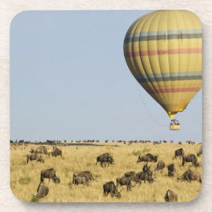 Kenia, Masai Mara. Touristen fahren mit Heißluftba Untersetzer