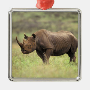 Kenia, Nairobi Nationalpark. Schwarzes Nashorn Ornament Aus Metall