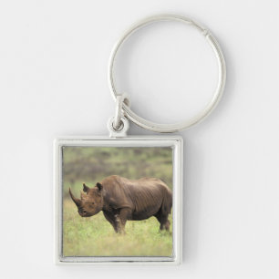 Kenia, Nairobi Nationalpark. Schwarzes Nashorn Schlüsselanhänger