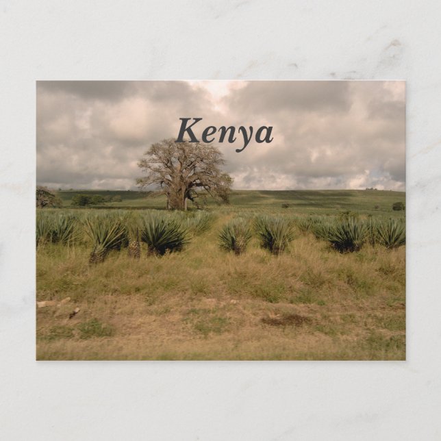 Kenia Postkarte (Vorderseite)