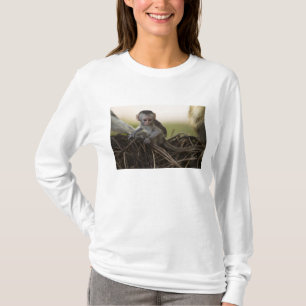 Kenia, Samburu-Wildreservat. Grüne Meerkatze T-Shirt