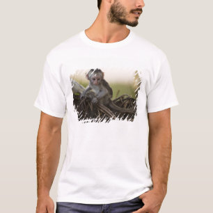 Kenia, Samburu-Wildreservat. Grüne Meerkatze T-Shirt