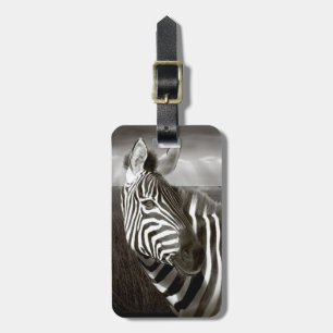 Kenia. Schwarz-Weiß von Zebra und Ebene. Gepäckanhänger