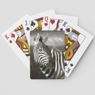 Kenia. Schwarz-Weiß von Zebra und Ebene. Spielkarten