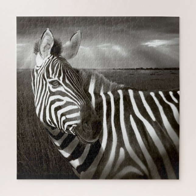 Kenia. Schwarz & Weiß von Zebra und schlicht. (Vertikal)