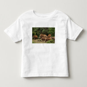 Kenia: Tsavo-East-Nationalpark, Herde Afrikanische Kleinkind T-shirt