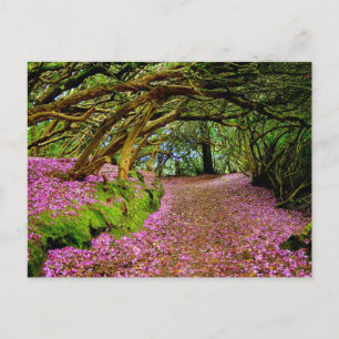 Kenmare Fairy Road Postkarte