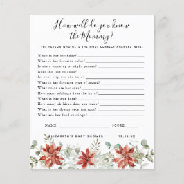 Kenne die Mami | Baby Showspiel