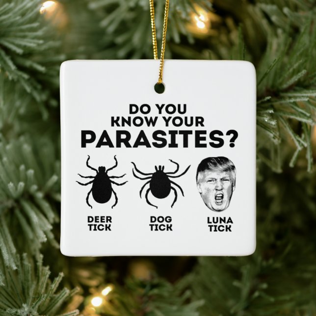 KENNEN SIE IHRE PARASITEN KERAMIKORNAMENT (Baum)