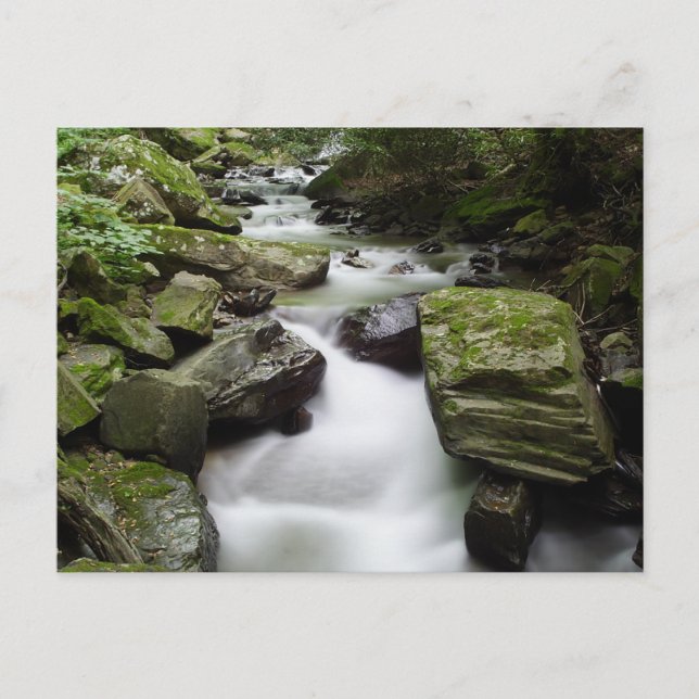 Kenny Creek Falls Postkarte (Vorderseite)