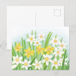 Kennzeichen für Frühling Postkarte