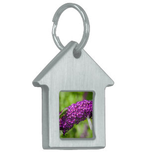 Kennzeichen für katydid energy pet tiermarke