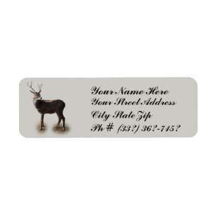 KENNZEICHNUNG DER BUCK-RÜCKKEHR
