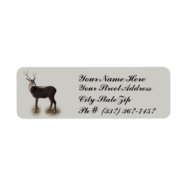 KENNZEICHNUNG DER BUCK-RÜCKKEHR (Vorne)