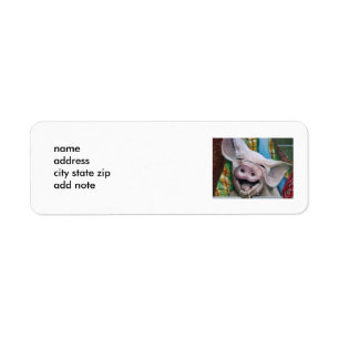 KENNZEICHNUNG DER PIGGY-ADRESSE