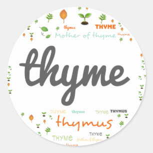 KENNZEICHNUNG DES WORTES - HERBS/VEGETABLE - THYME RUNDER AUFKLEBER