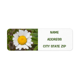 **KENNZEICHNUNG FÜR DAISY LOVER**