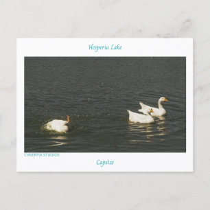 „Kentern“ Hesperia Lake Postkarte