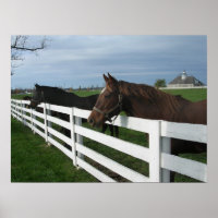 Kentucky Bluegrass Country