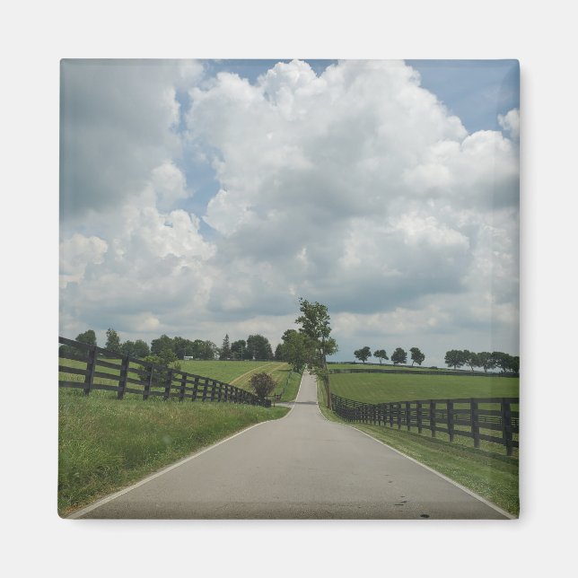 Kentucky Bluegrass Magnet (Vorne)