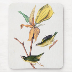 Kentucky-Fliegenschnäpper-Waldsänger-Vögel-Illustr Mousepad
