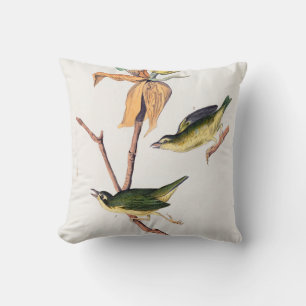 Kentucky Fly fing Warbler Birds Illustration Kissen